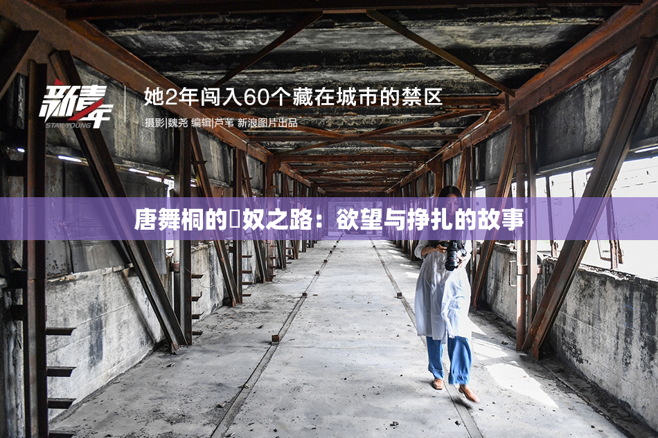 唐舞桐的婬奴之路：欲望与挣扎的故事