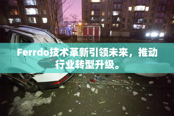 Ferrdo技术革新引领未来，推动行业转型升级。