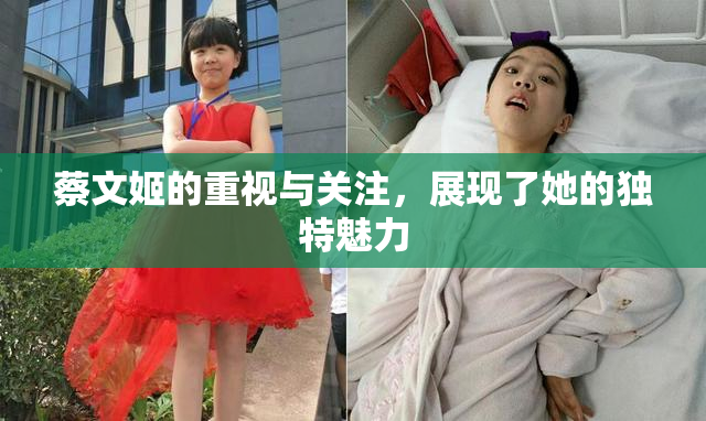 蔡文姬的重视与关注，展现了她的独特魅力