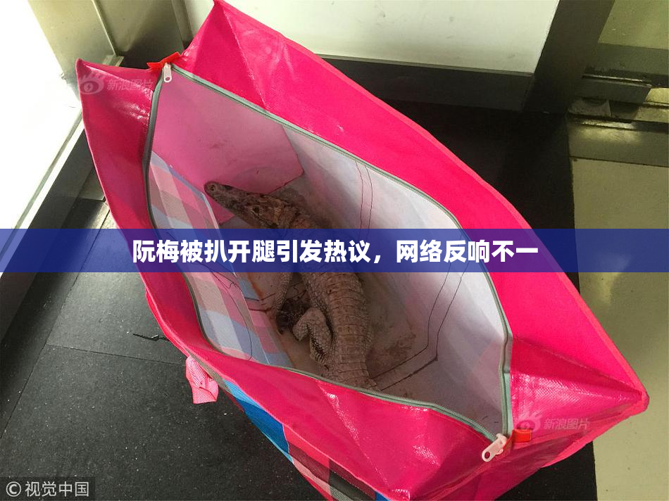 阮梅被扒开腿引发热议，网络反响不一