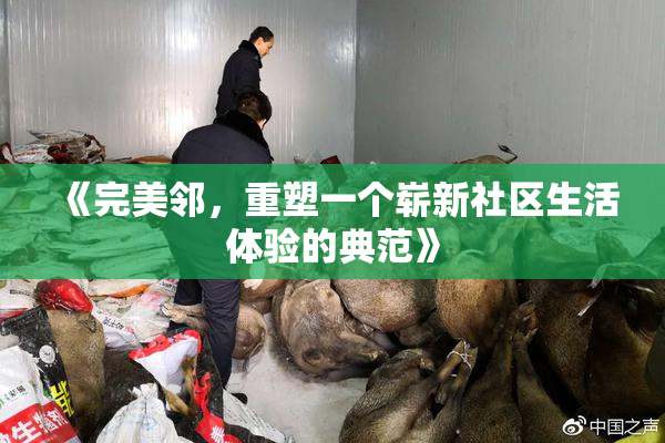 《完美邻，重塑一个崭新社区生活体验的典范》