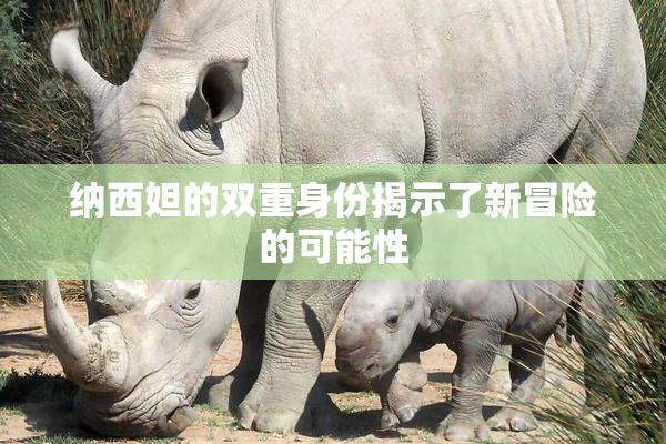 纳西妲的双重身份揭示了新冒险的可能性