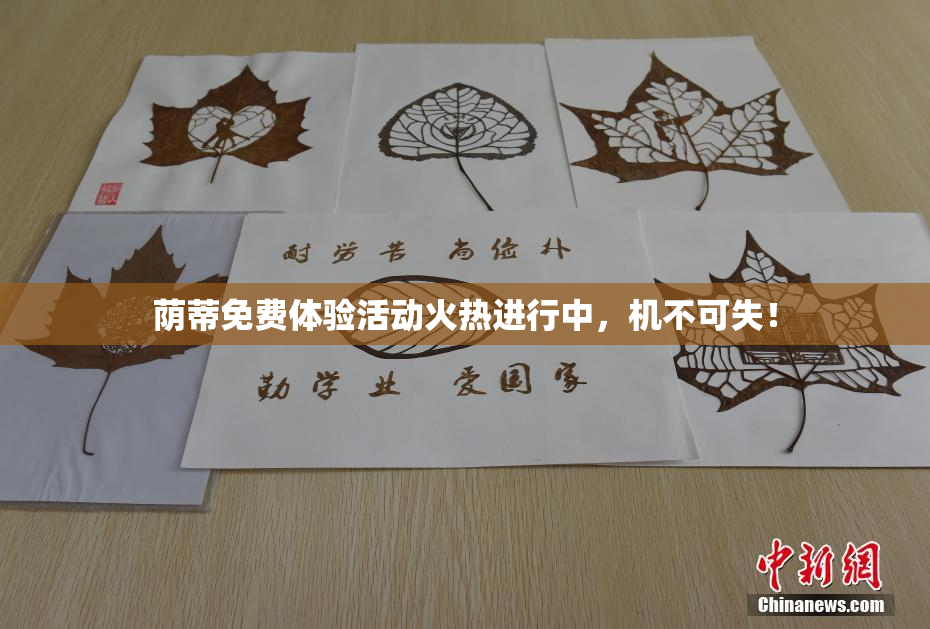 荫蒂免费体验活动火热进行中，机不可失！