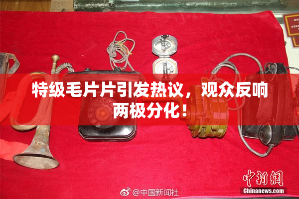 特级毛片片引发热议，观众反响两极分化！