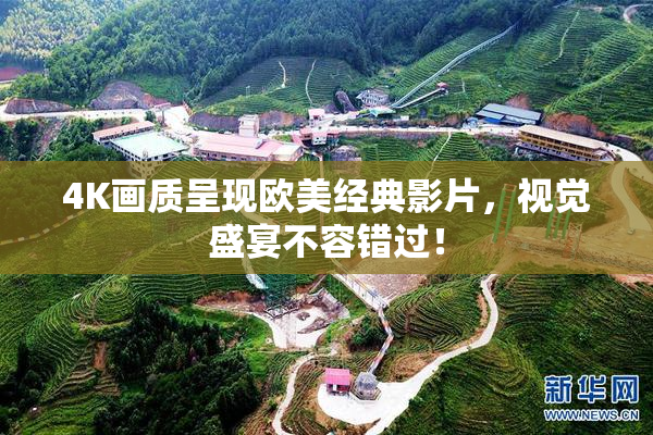 4K画质呈现欧美经典影片，视觉盛宴不容错过！