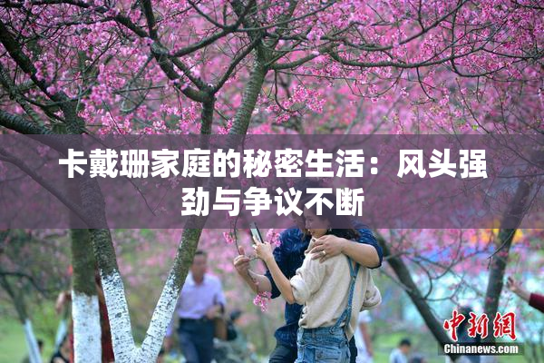 卡戴珊家庭的秘密生活：风头强劲与争议不断