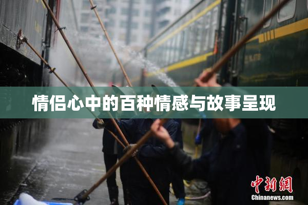 情侣心中的百种情感与故事呈现