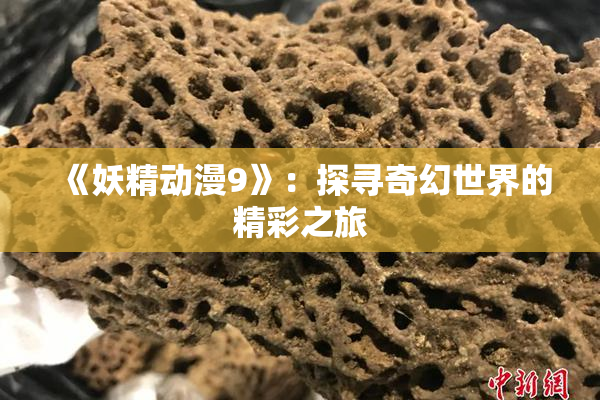 《妖精动漫9》：探寻奇幻世界的精彩之旅