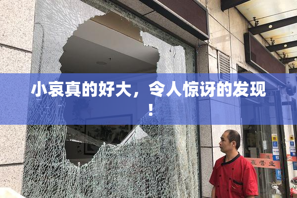 小哀真的好大，令人惊讶的发现！