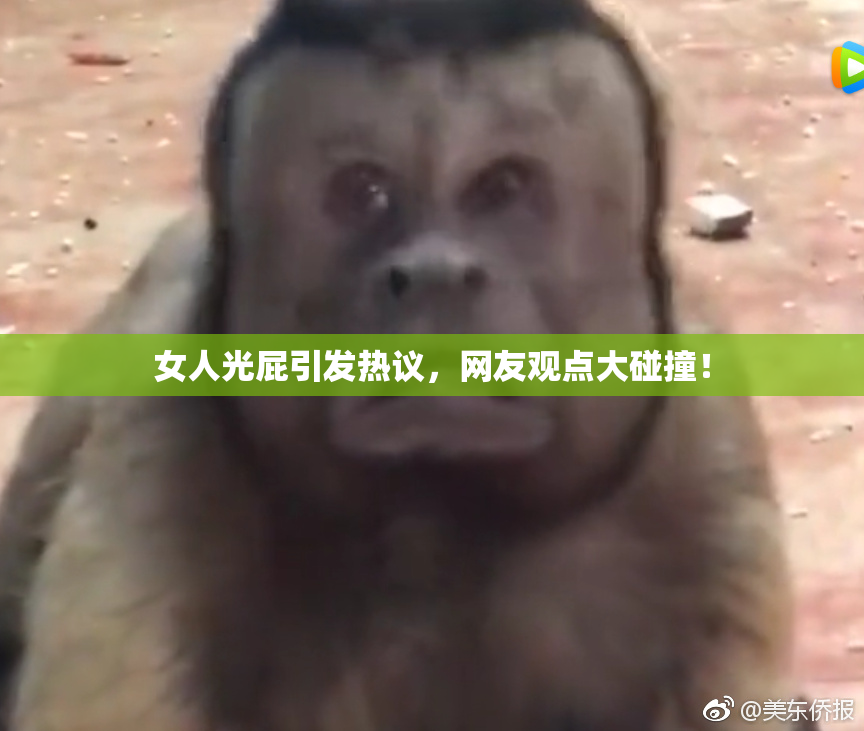 女人光屁引发热议，网友观点大碰撞！