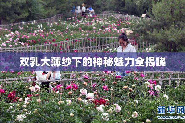 双乳大薄纱下的神秘魅力全揭晓