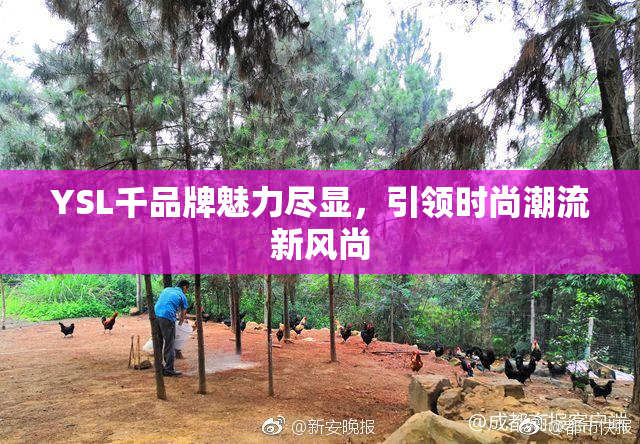 YSL千品牌魅力尽显，引领时尚潮流新风尚