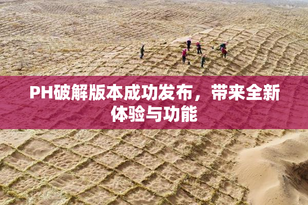 PH破解版本成功发布，带来全新体验与功能