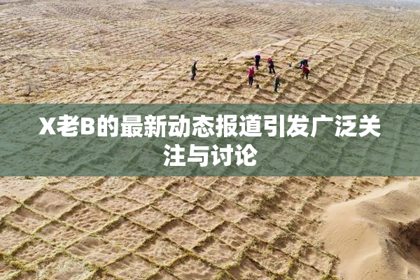 X老B的最新动态报道引发广泛关注与讨论
