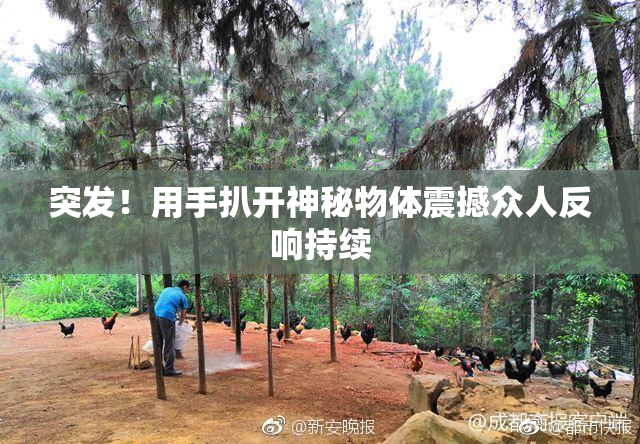 突发！用手扒开神秘物体震撼众人反响持续