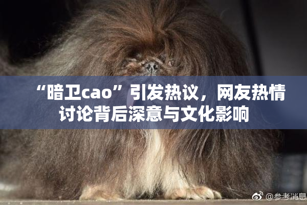 “暗卫cao”引发热议，网友热情讨论背后深意与文化影响