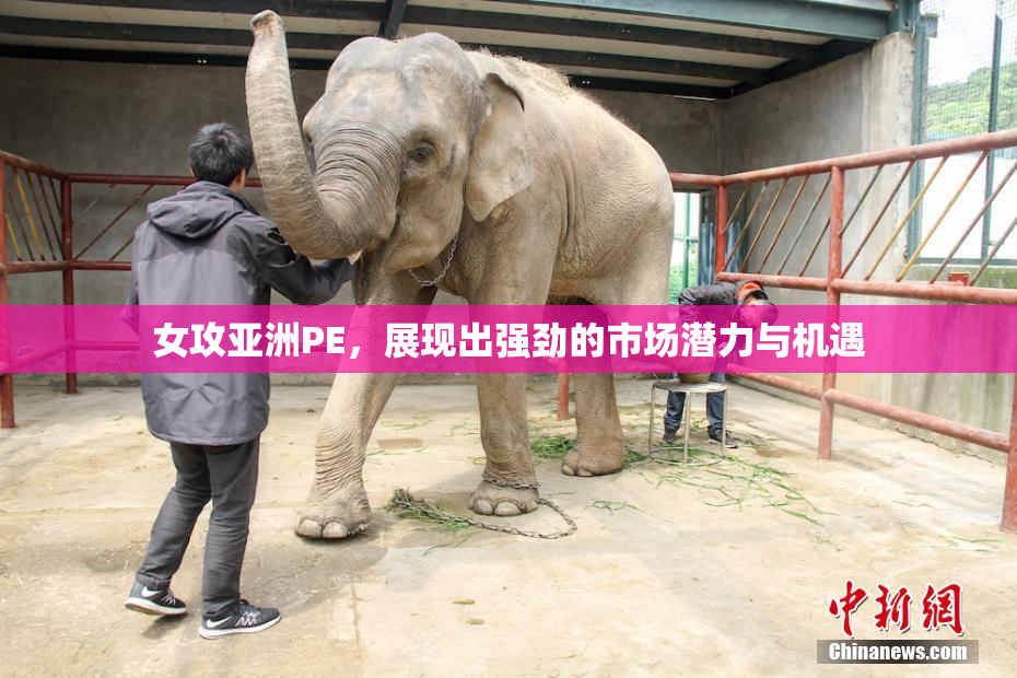女攻亚洲PE，展现出强劲的市场潜力与机遇