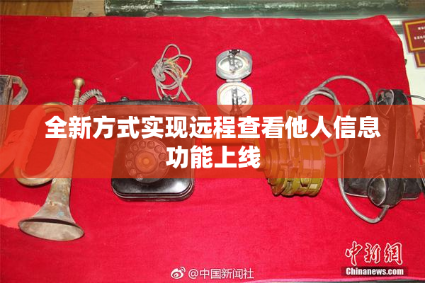 全新方式实现远程查看他人信息功能上线