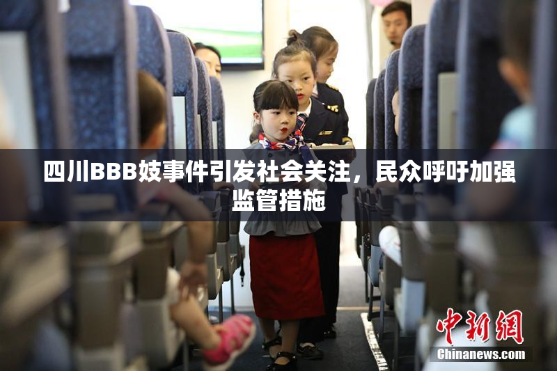 四川BBB妓事件引发社会关注，民众呼吁加强监管措施