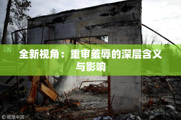 全新视角：重审羞辱的深层含义与影响