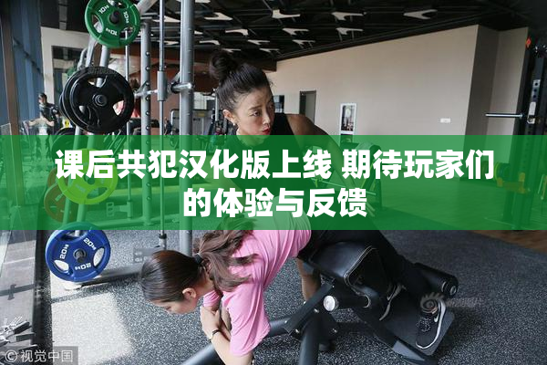 课后共犯汉化版上线 期待玩家们的体验与反馈