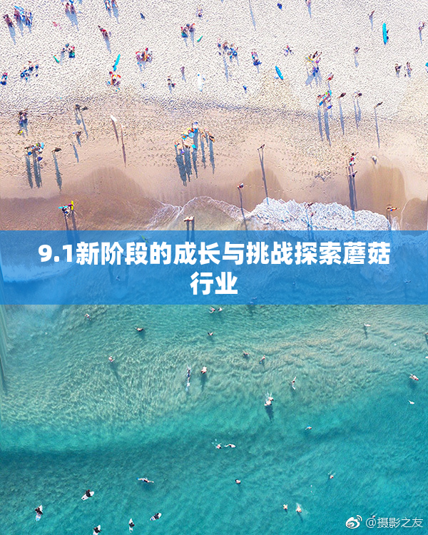 9.1新阶段的成长与挑战探索蘑菇行业