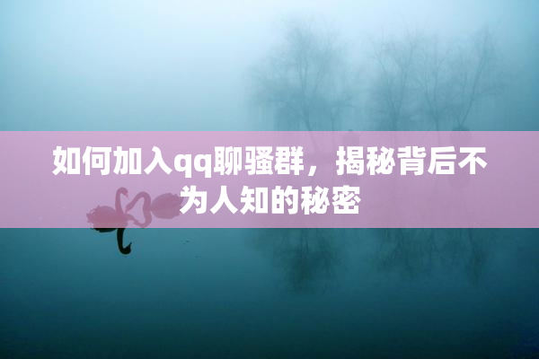 如何加入qq聊骚群，揭秘背后不为人知的秘密