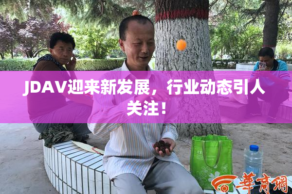 JDAV迎来新发展，行业动态引人关注！