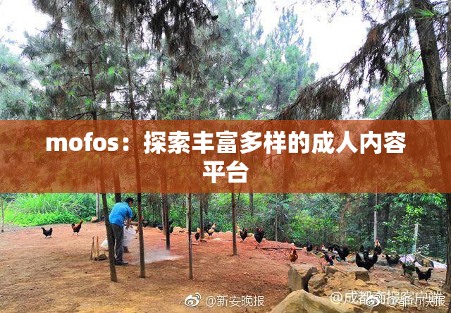 mofos：探索丰富多样的成人内容平台