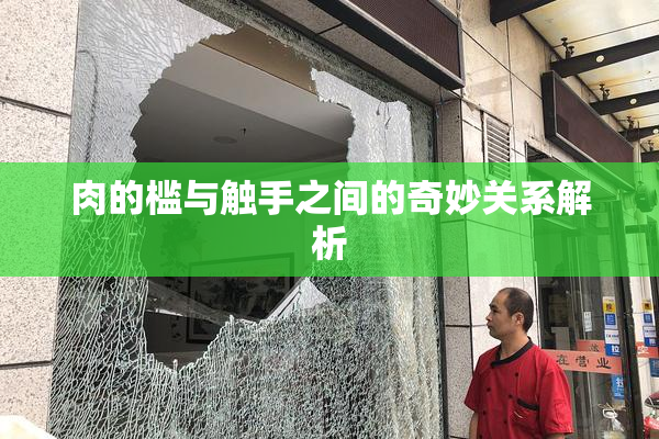 肉的槛与触手之间的奇妙关系解析