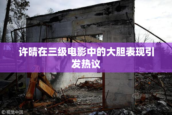 许晴在三级电影中的大胆表现引发热议