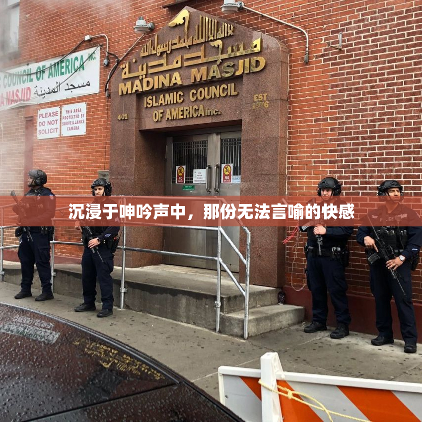 沉浸于呻吟声中，那份无法言喻的快感