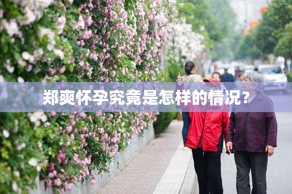郑爽怀孕究竟是怎样的情况？