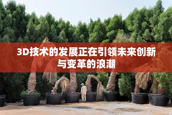 3D技术的发展正在引领未来创新与变革的浪潮
