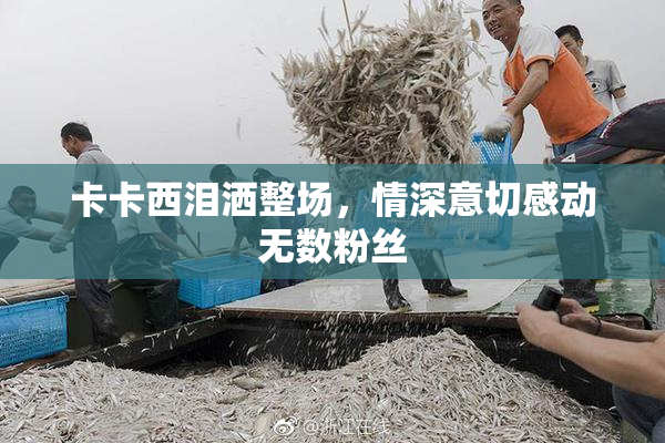 卡卡西泪洒整场，情深意切感动无数粉丝