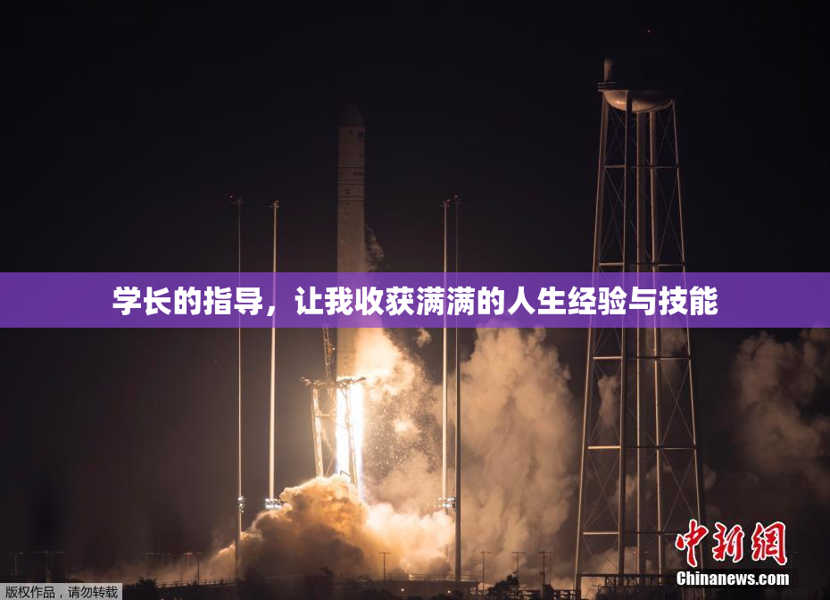 学长的指导，让我收获满满的人生经验与技能