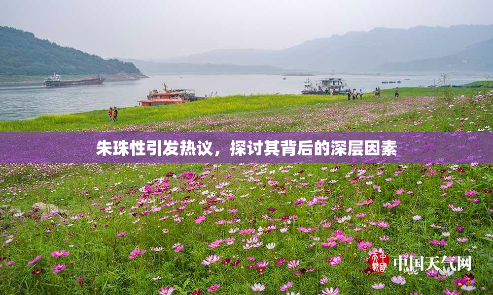 朱珠性引发热议，探讨其背后的深层因素