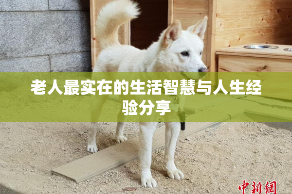 老人最实在的生活智慧与人生经验分享