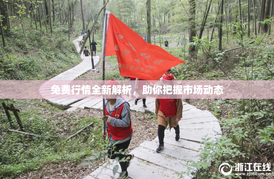 免费行情全新解析，助你把握市场动态