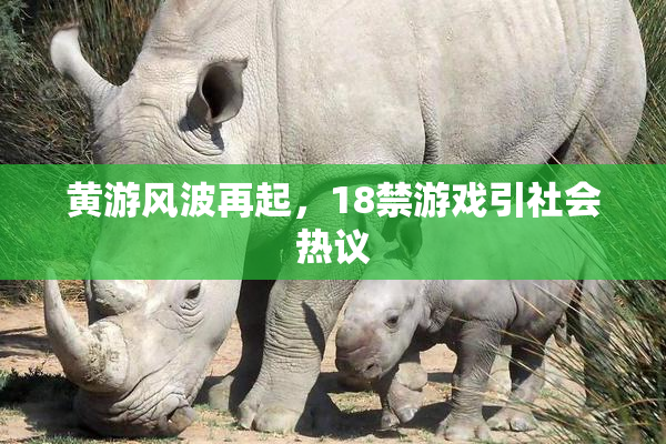 黄游风波再起，18禁游戏引社会热议