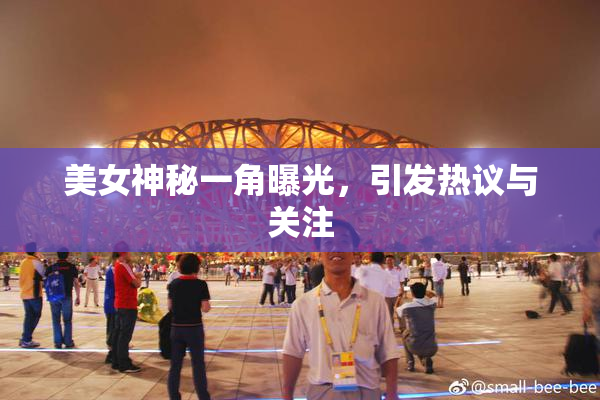 美女神秘一角曝光，引发热议与关注