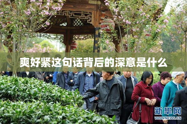 爽好紧这句话背后的深意是什么