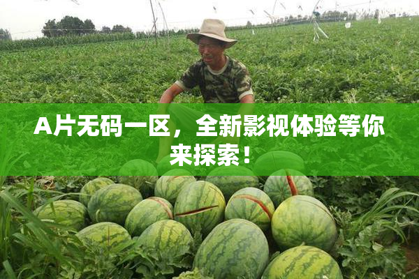 A片无码一区，全新影视体验等你来探索！