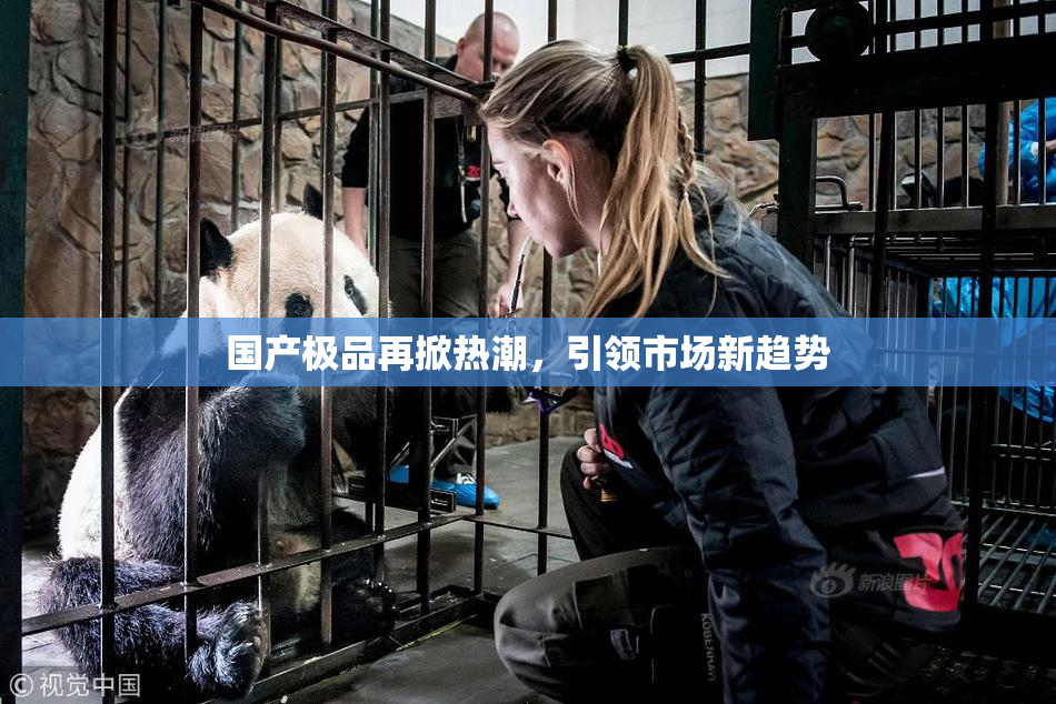 国产极品再掀热潮，引领市场新趋势