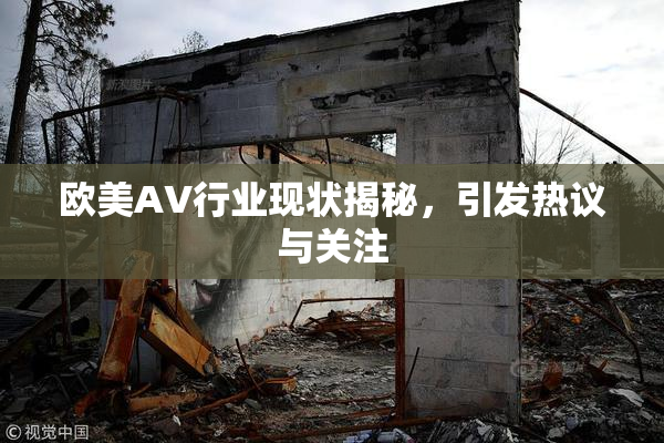 欧美AV行业现状揭秘，引发热议与关注