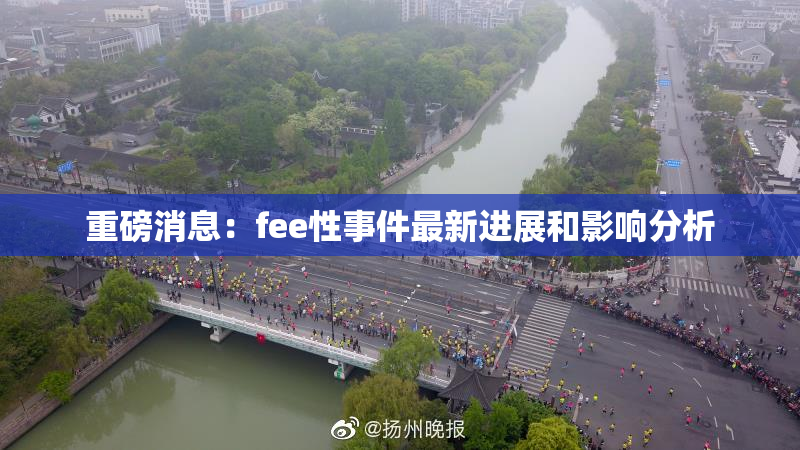 重磅消息：fee性事件最新进展和影响分析