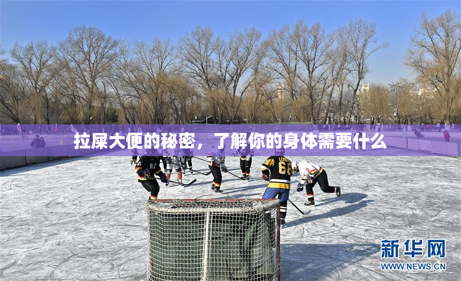 拉屎大便的秘密，了解你的身体需要什么