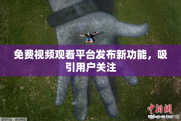免费视频观看平台发布新功能，吸引用户关注