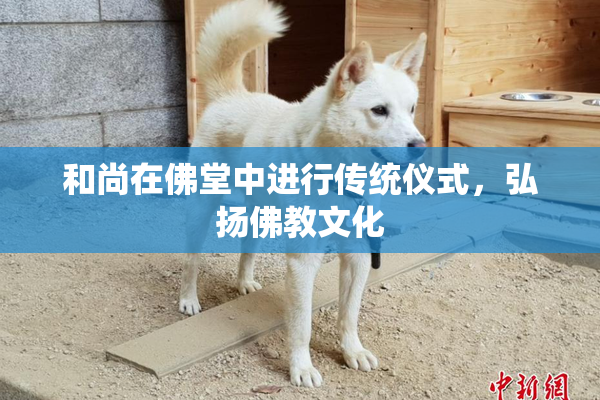 和尚在佛堂中进行传统仪式，弘扬佛教文化