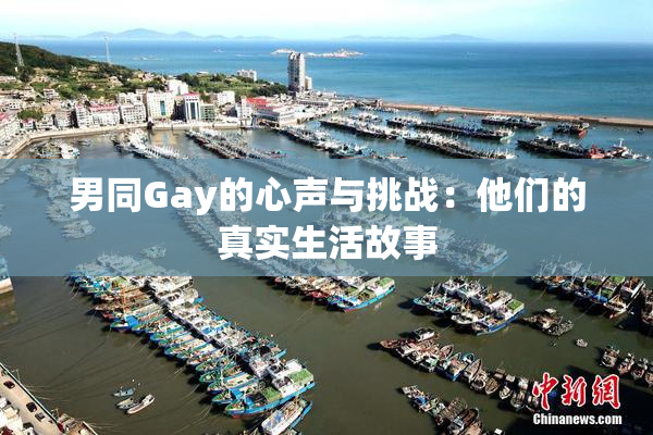 男同Gay的心声与挑战：他们的真实生活故事